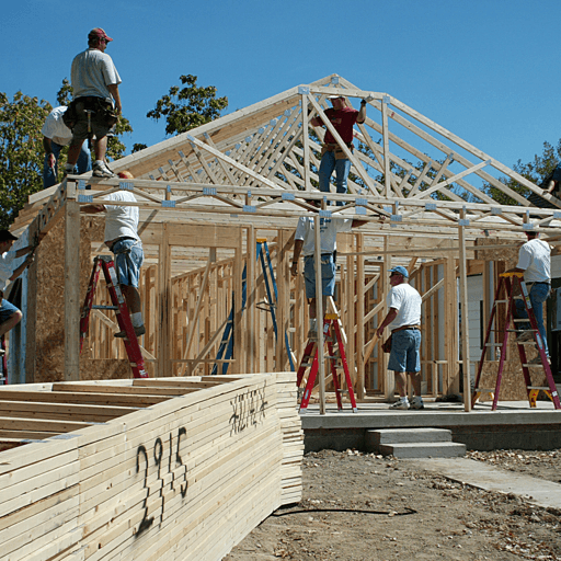 volunteer shelter